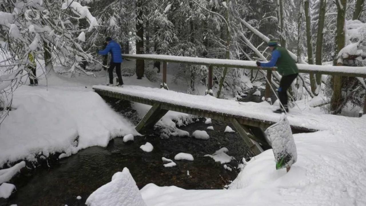 Bežkopotulky (Bežkopotulky: Krušné hory) / 14.01.2025, 19:00